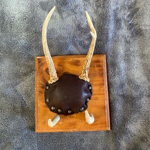 Vintage Antler mount
